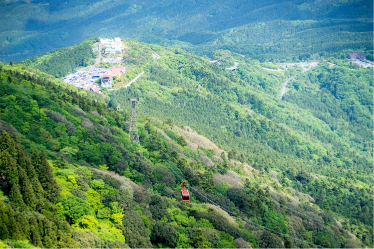 納豆…だけじゃない！茨城県